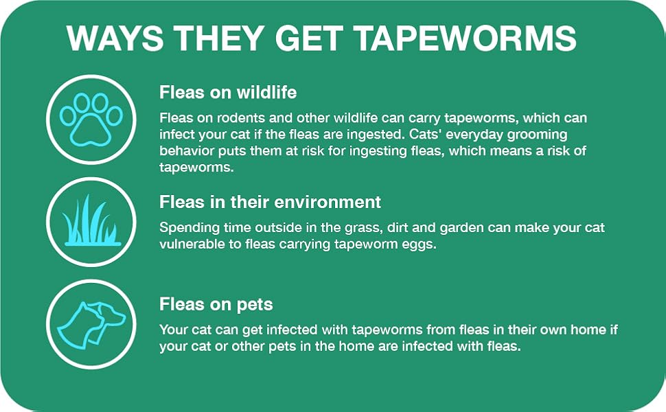 Tapeworm Dewormer photo 1