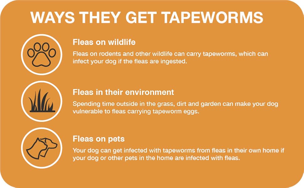 Tapeworm Dewormer photo 5